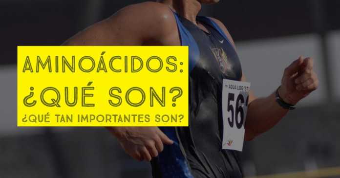 AMINOÁCIDOS: DEFINICIÓN E IMPORTANCIA | DIFERENCIAS CON LOS RAMIFICADOS